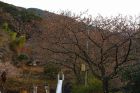 下佐ヶ野公園