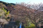 下佐ヶ野公園