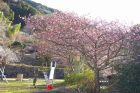 下佐ヶ野公園