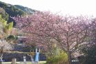 下佐ヶ野公園