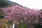 下佐ヶ野公園