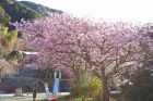 下佐ヶ野公園