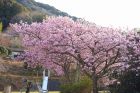 下佐ヶ野公園
