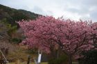 下佐ヶ野公園
