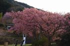 下佐ヶ野公園