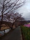 笹原公園