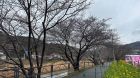 笹原公園