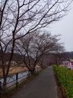 笹原公園