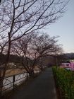 笹原公園