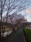 笹原公園