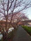 笹原公園