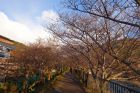 峰温泉会館裏