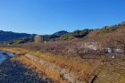 峰いでゆ橋