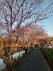 笹原公園