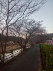 笹原公園