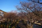 峰温泉会館裏