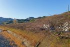 峰いでゆ橋