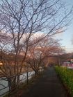 笹原公園