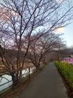 笹原公園