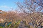 峰温泉会館裏