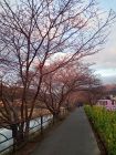 笹原公園