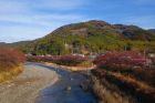峰いでゆ橋