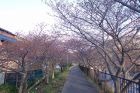 峰温泉会館裏