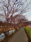 笹原公園