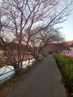 笹原公園
