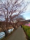 笹原公園
