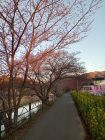 笹原公園