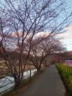笹原公園