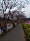 笹原公園