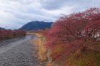 峰いでゆ橋