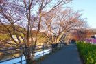 笹原公園周辺