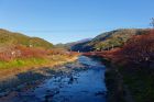 峰ほうせん橋