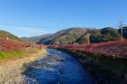 峰ほうせん橋