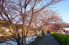 笹原公園周辺