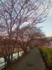 笹原公園