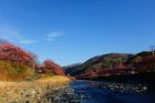 峰ほうせん橋周辺河川敷