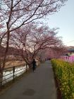 笹原公園