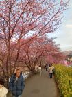 笹原公園