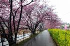 笹原公園