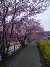 笹原公園