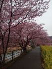 笹原公園