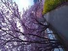 笹原公園